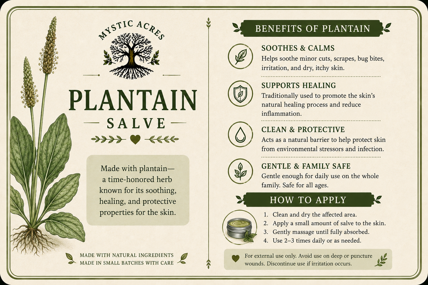 Plantain Salve
